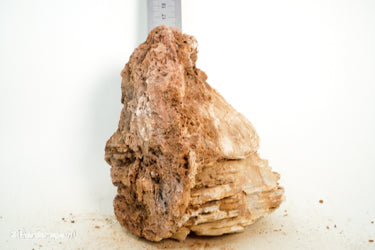 Pagoda Rock M68 - Hardscape.nl