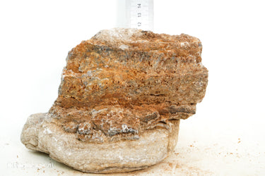 Pagoda Rock M70 - Hardscape.nl