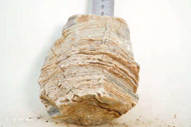 Pagoda Rock M72 - Hardscape.nl