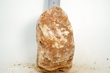 Pagoda Rock M73 - Hardscape.nl