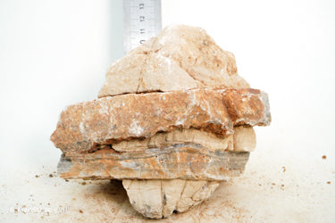 Pagoda Rock M75 - Hardscape.nl