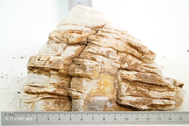 Pagoda Rock M76 - Hardscape.nl