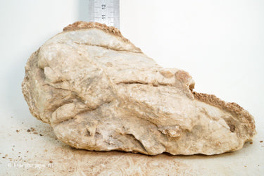 Pagoda Rock M77 - Hardscape.nl