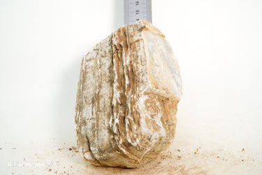Pagoda Rock M79 - Hardscape.nl
