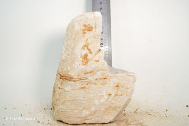 Pagoda Rock M80 - Hardscape.nl