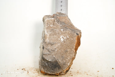 Pagoda Rock S109 - Hardscape.nl