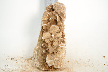 Pagoda Rock S111 - Hardscape.nl