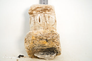 Pagoda Rock XL66 - Hardscape.nl