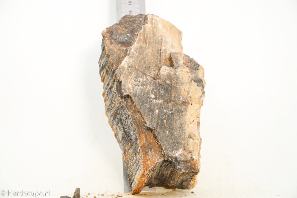 Petried Wood L100 - Hardscape.nl