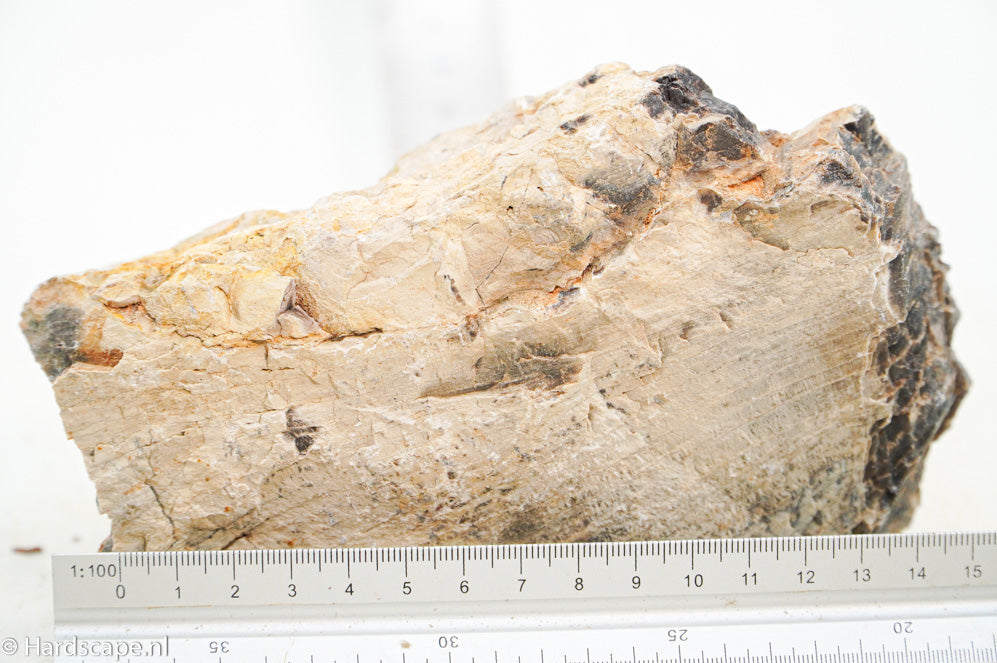 Petried Wood L100 - Hardscape.nl
