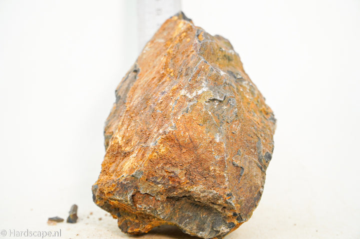 Petrified Wood L101 - Hardscape.nl