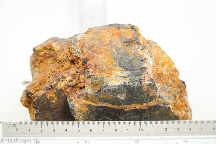 Petrified Wood L101 - Hardscape.nl