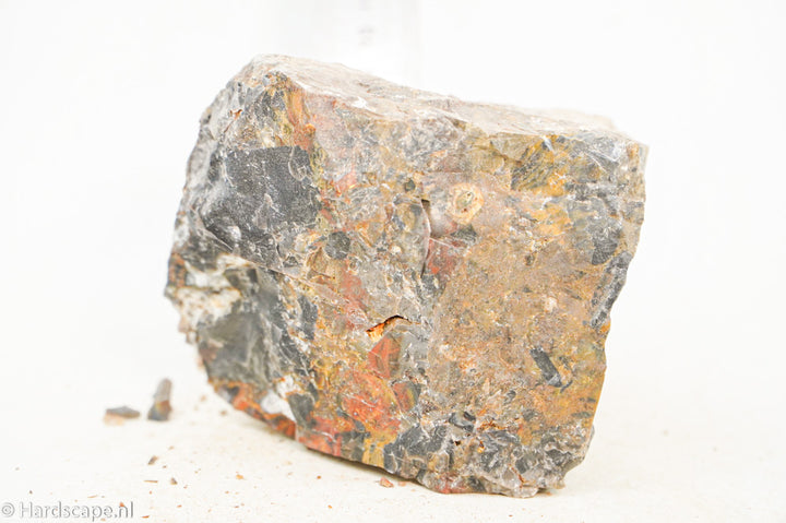 Petrified Wood L102 - Hardscape.nl