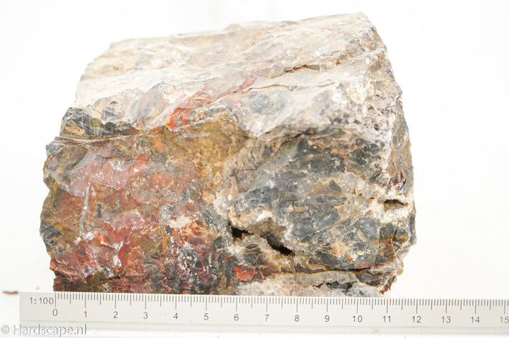 Petrified Wood L102 - Hardscape.nl