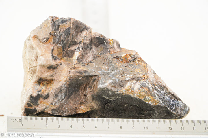 Petrified Wood L103 - Hardscape.nl