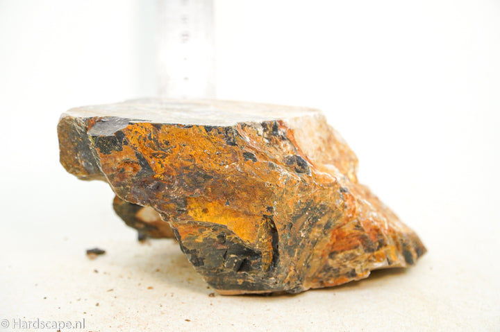 Petrified Wood L105 - Hardscape.nl