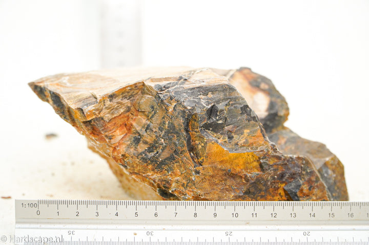 Petrified Wood L105 - Hardscape.nl