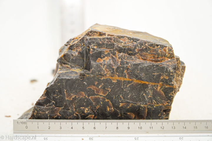 Petrified Wood L106 - Hardscape.nl