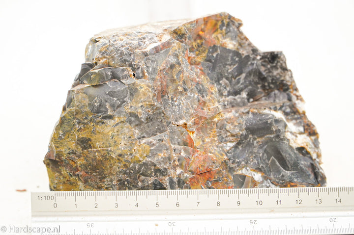 Petrified Wood L99 - Hardscape.nl