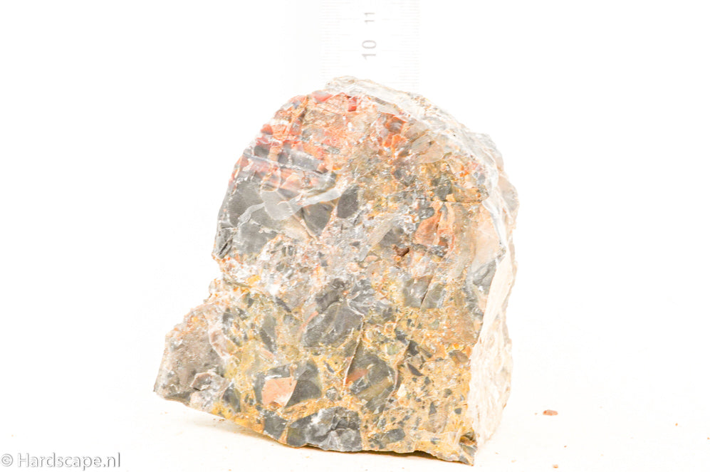 Petrified Wood M60 - Hardscape.nl