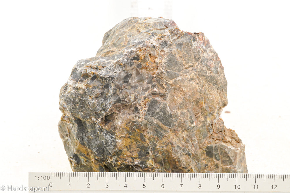 Petrified Wood M60 - Hardscape.nl