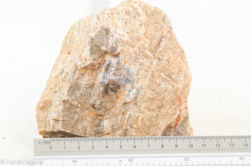 Petrified Wood M61 - Hardscape.nl