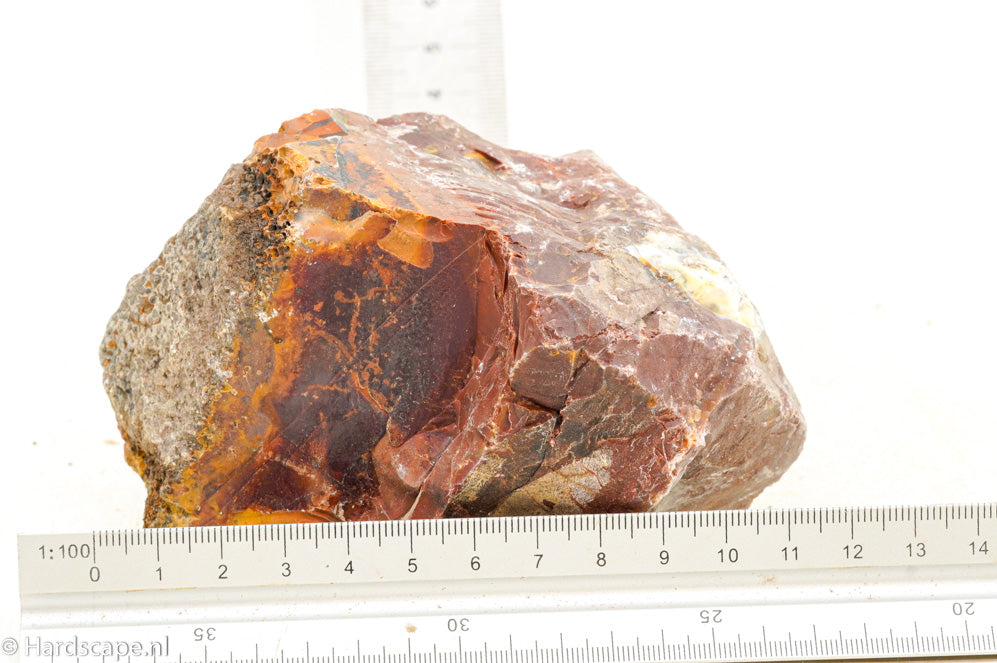 Petrified Wood M62 - Hardscape.nl