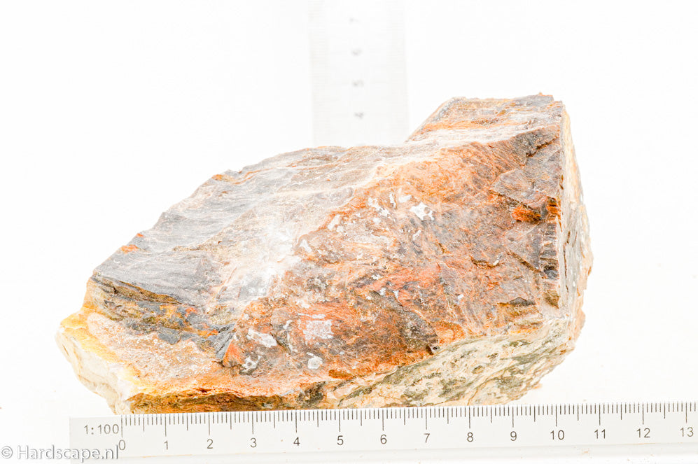 Petrified Wood M63 - Hardscape.nl