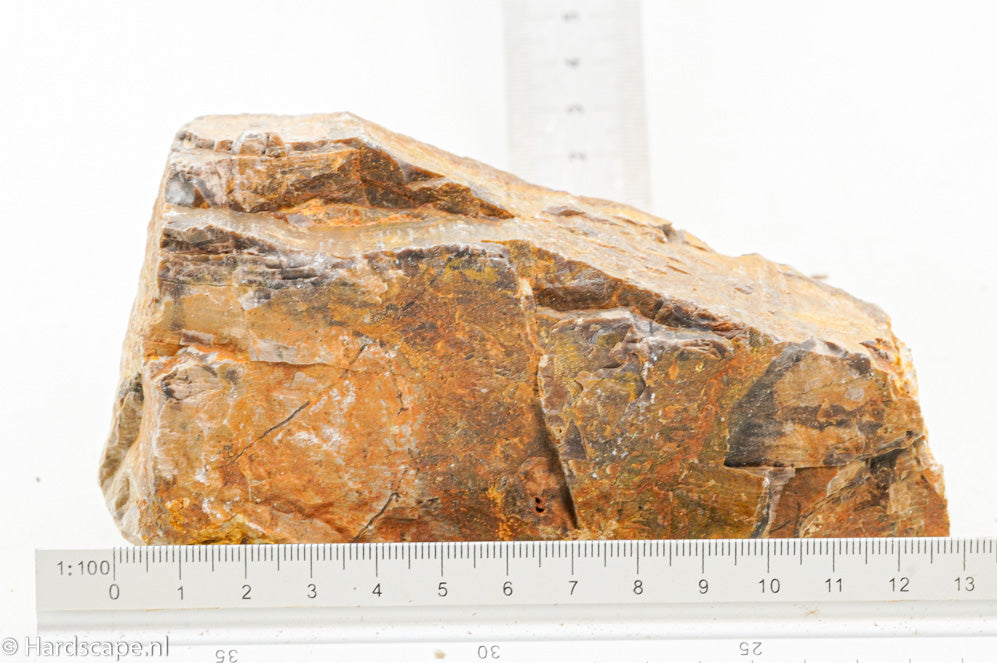 Petrified Wood M66 - Hardscape.nl