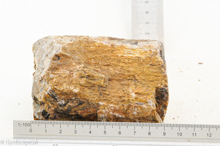 Petrified Wood M67 - Hardscape.nl