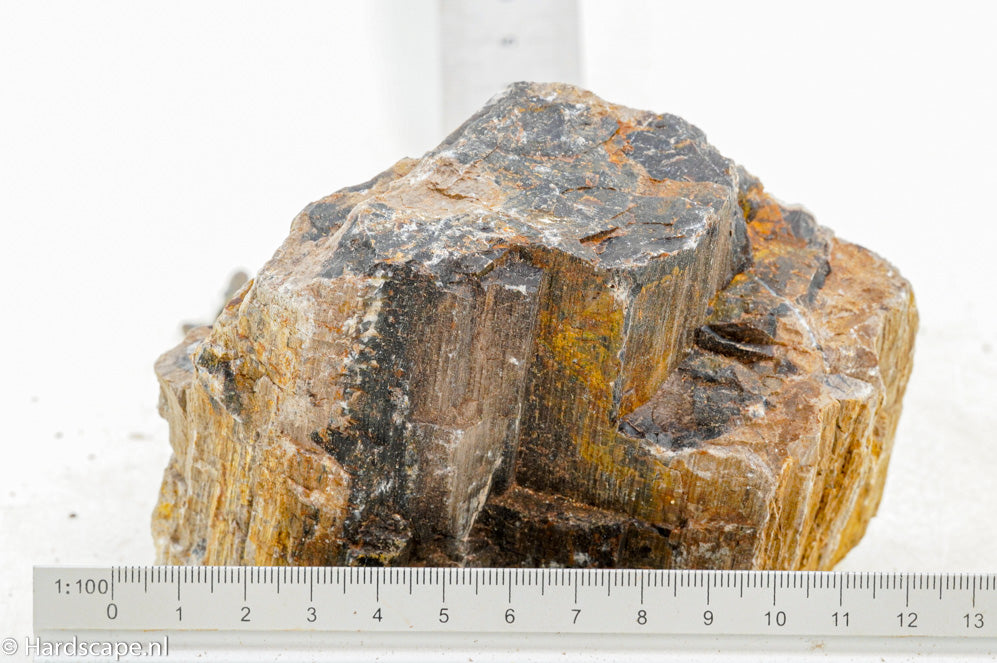 Petrified Wood M68 - Hardscape.nl