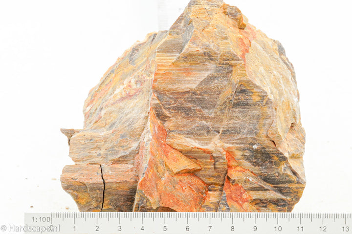 Petrified Wood M69 - Hardscape.nl