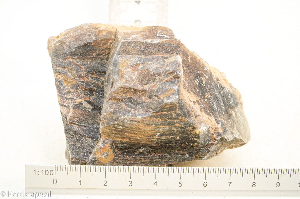 Petrified Wood S115 - Hardscape.nl