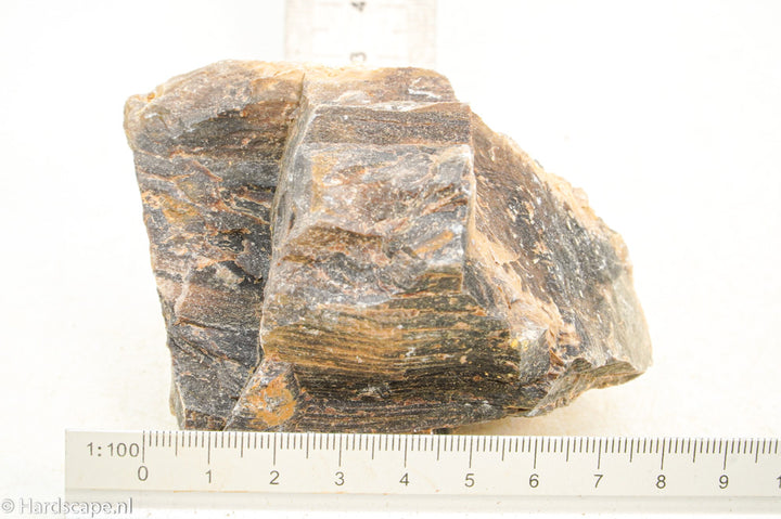 Petrified Wood S115 - Hardscape.nl