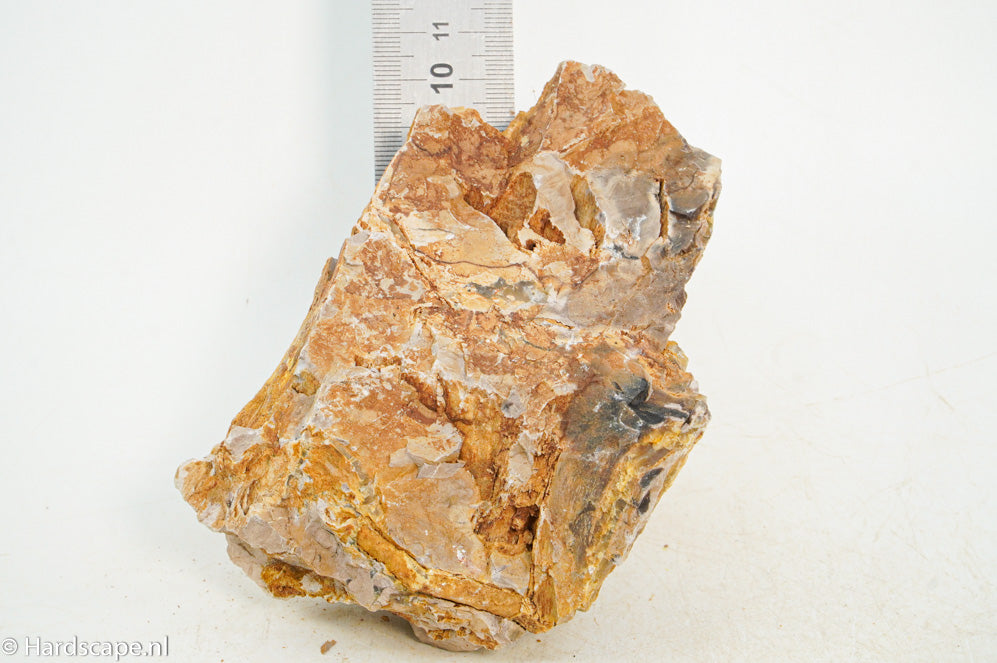 Petrified Wood S118 - Hardscape.nl