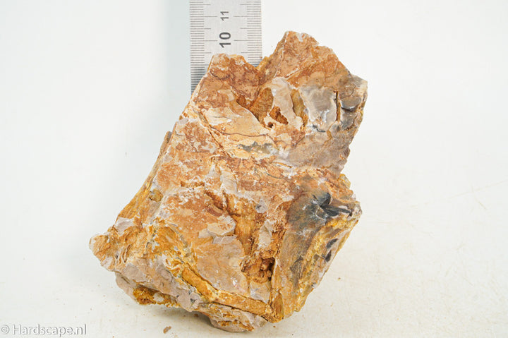 Petrified Wood S118 - Hardscape.nl