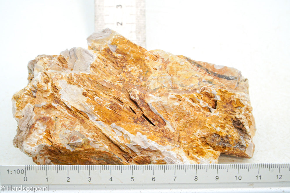 Petrified Wood S118 - Hardscape.nl