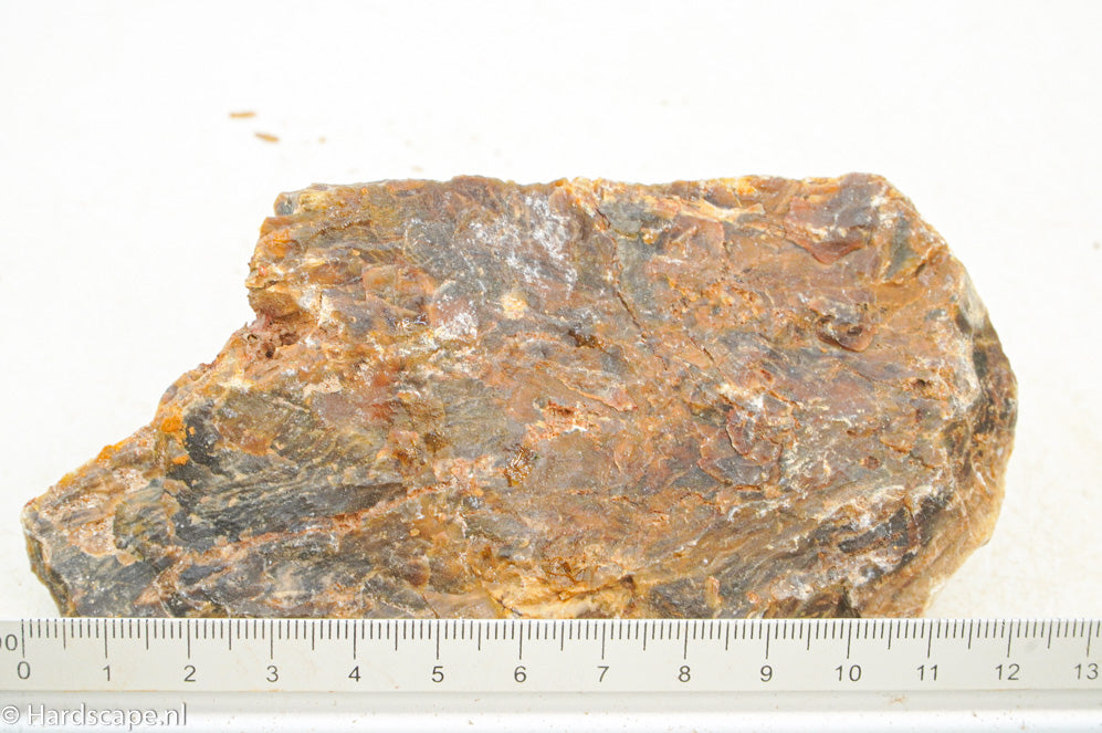 Petrified Wood S120 - Hardscape.nl