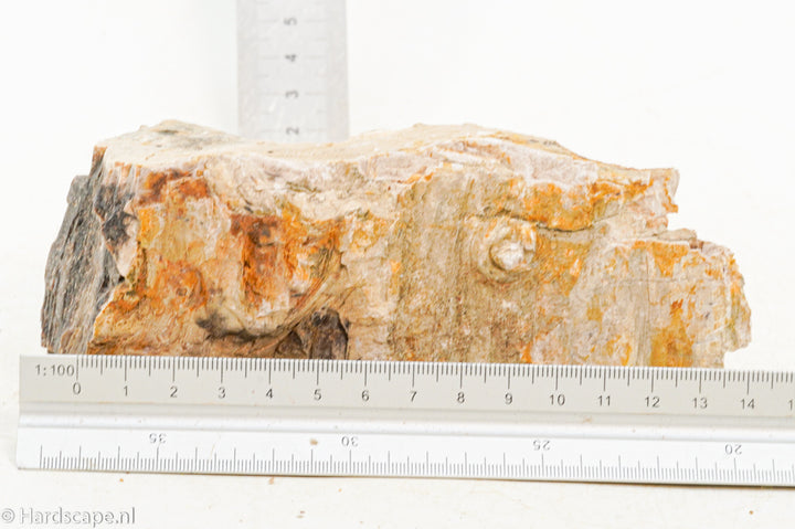 Petrified Wood S124 - Hardscape.nl