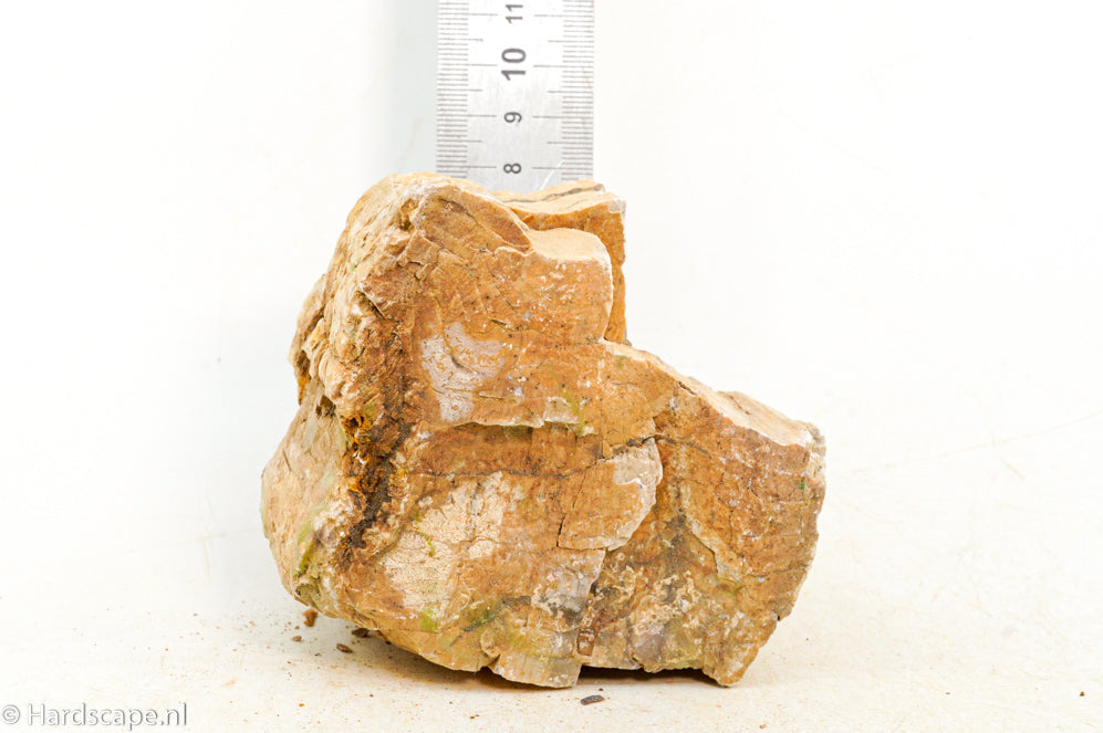 Petrified Wood S126 - Hardscape.nl