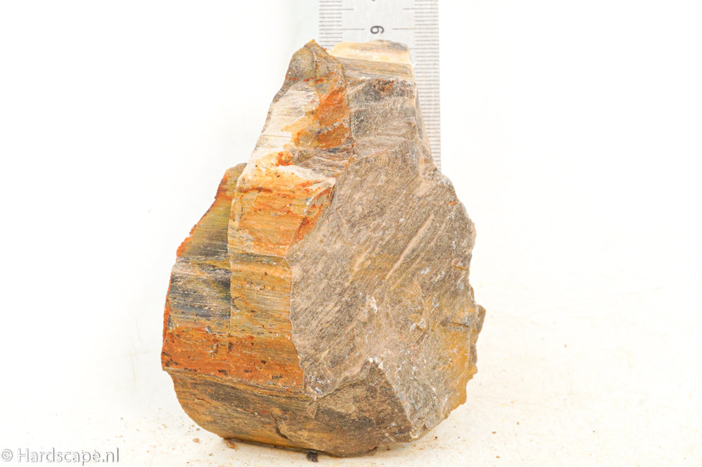 Petrified Wood S127 - Hardscape.nl