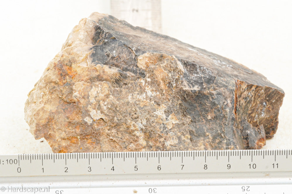 Petrified Wood S128 - Hardscape.nl