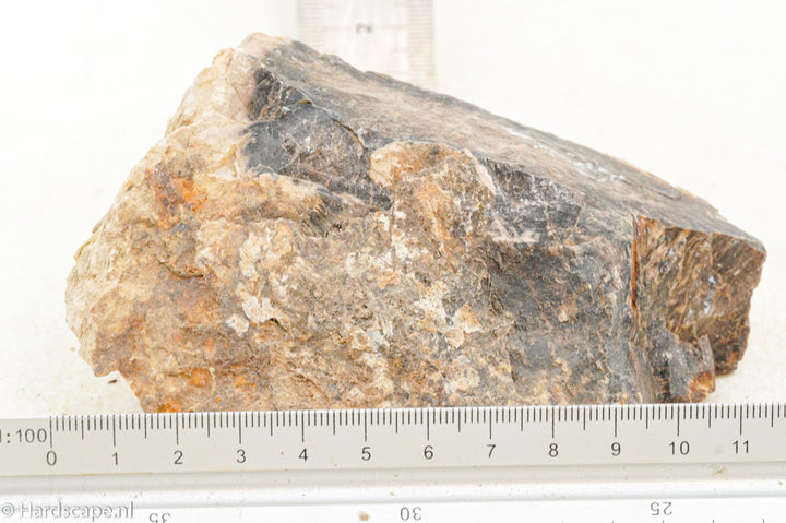 Petrified Wood S128 - Hardscape.nl