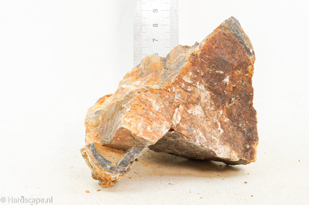 Petrified Wood S129 - Hardscape.nl