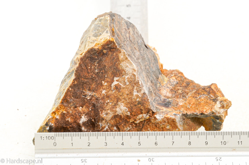 Petrified Wood S129 - Hardscape.nl