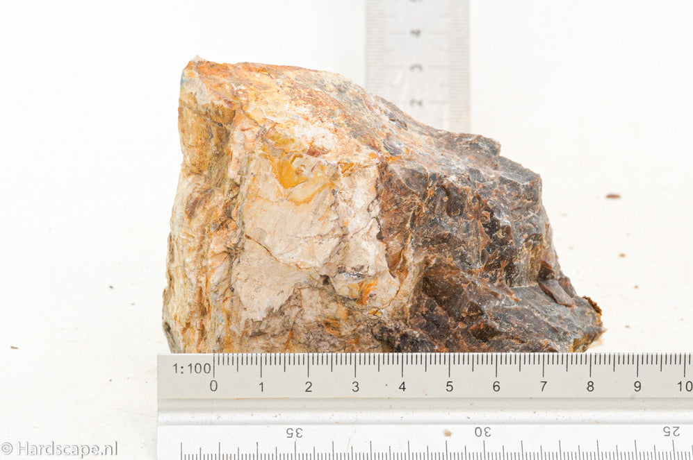 Petrified Wood S130 - Hardscape.nl