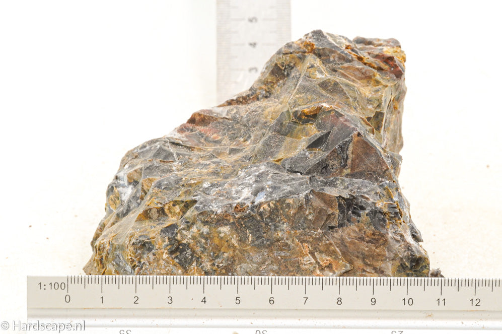 Petrified Wood S132 - Hardscape.nl