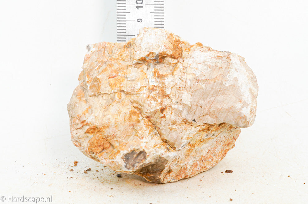 Petrified Wood S133 - Hardscape.nl