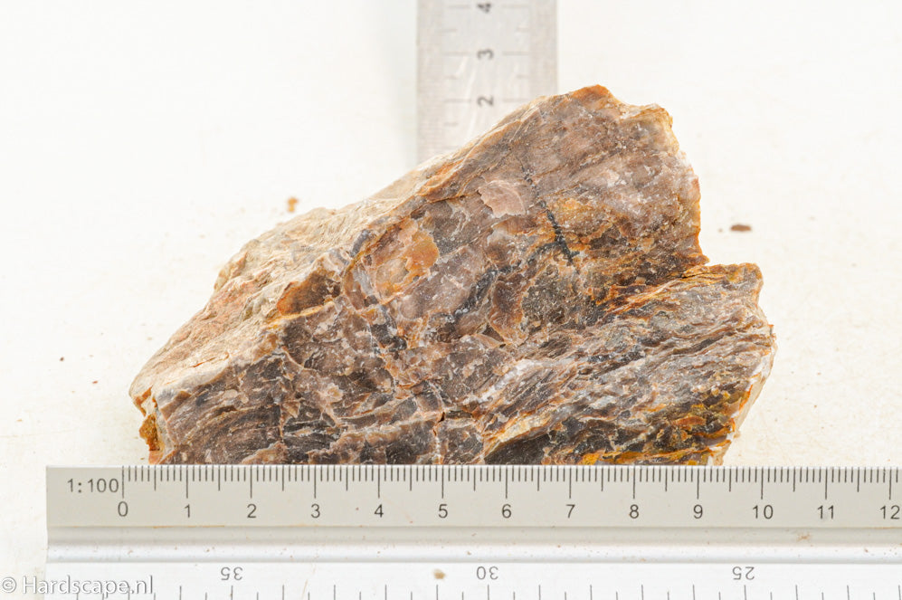 Petrified Wood S133 - Hardscape.nl