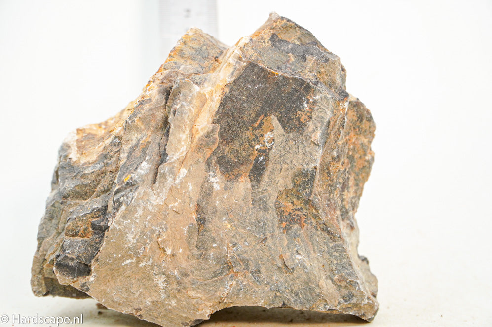 Petrified Wood XL76 - Hardscape.nl